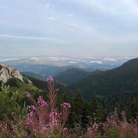 Lux A18 & Centar Lägenhet *