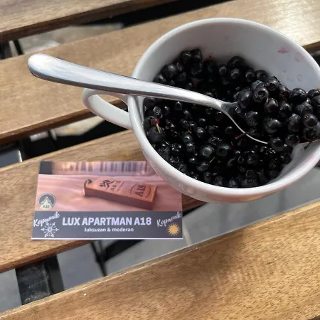 Lägenhet Lux A18 & Centar Kopaonik